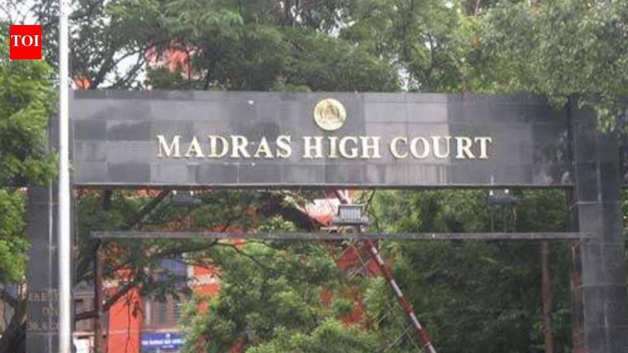 GCC councillor moves Madras High Court against Tamil Nadu CM Vijay's birthday celebrations in schools