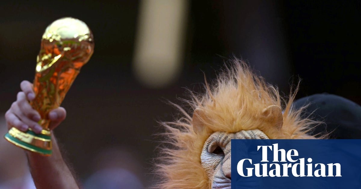 Football Daily | Animal instinct and maths boost Netherlands’ hopes of World Cup glory