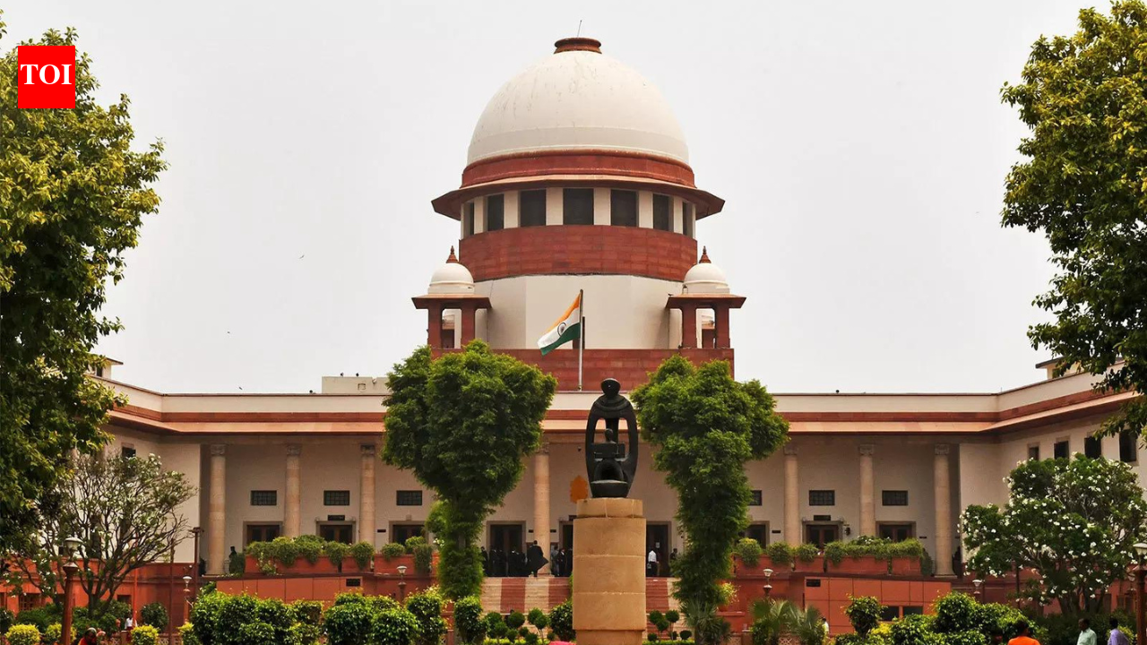 'You are nobody': SC rebukes 'so-called RTI activist', refuses anticipatory bail