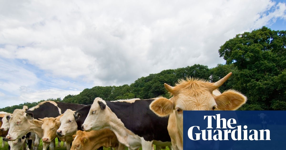 Trains disrupted on UK’s busiest intercity line as cows wander on to tracks