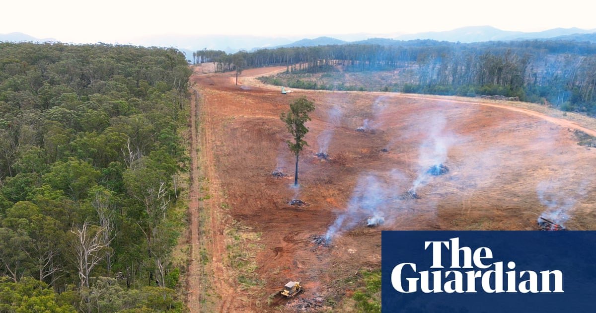 NSW land-clearing up 16% in 2024 as conservation groups say Minns government failing to rein in habitat loss