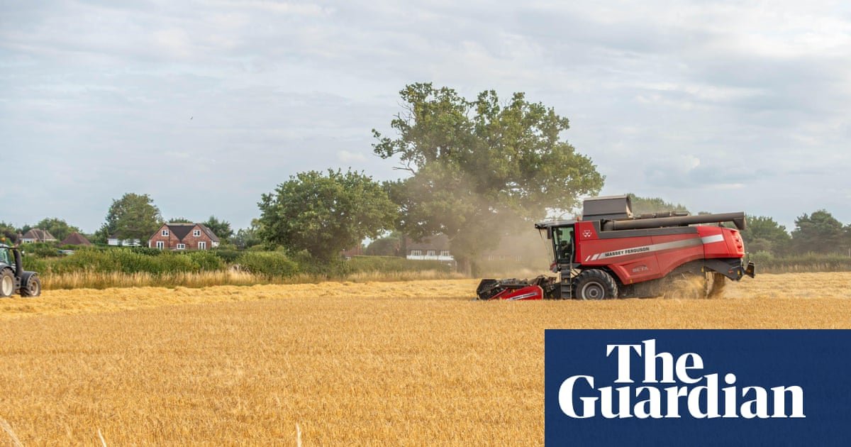 Food price fears after Europe’s heatwave destroys estimated €2bn of crops