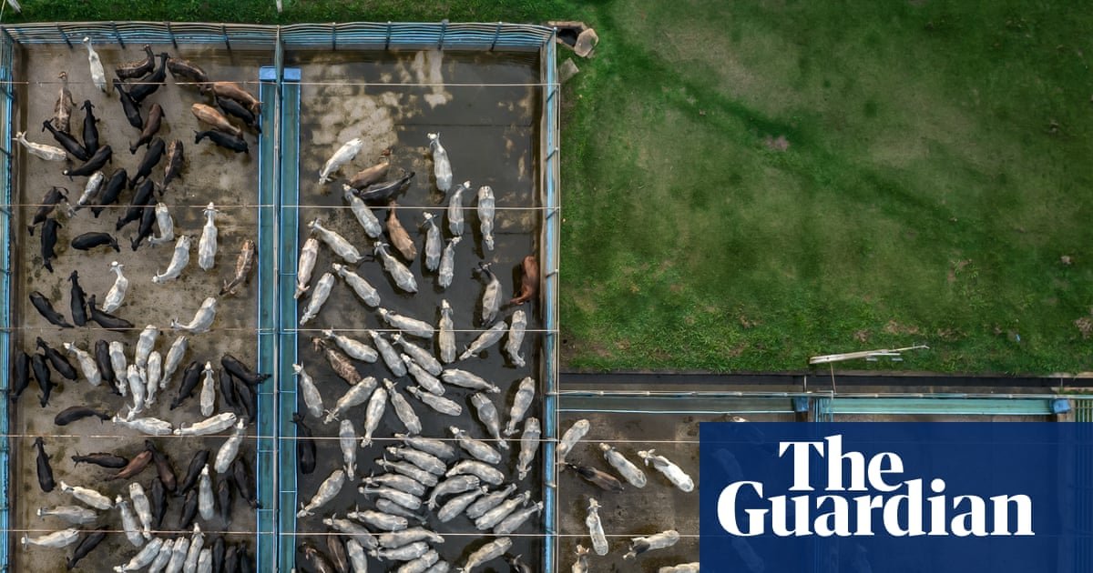 Meat multinational faces legal challenge over green credentials of $6bn global expansion plan