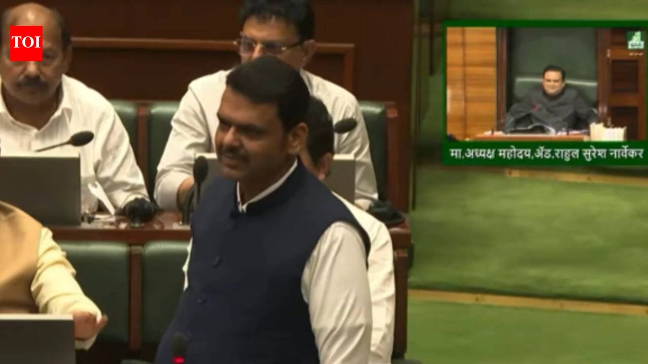 Fadnavis ups attack on 'Missing Link' critics, dubs them 'bhatka gardabh', 'suparibaaz'; taunts Raj Thackeray