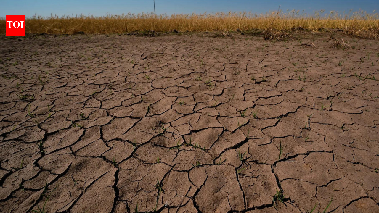 WMO warns rapid development of El Nino during July-Sept; government reviews the situation of rainfall deficit