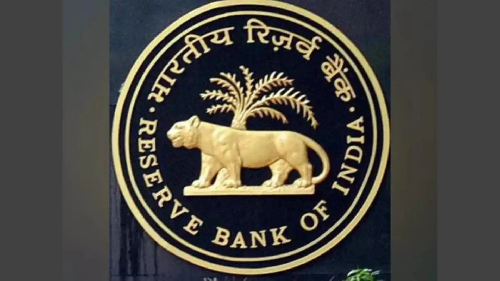 RBI Intervention shields rupee in face of oil, hedging strain