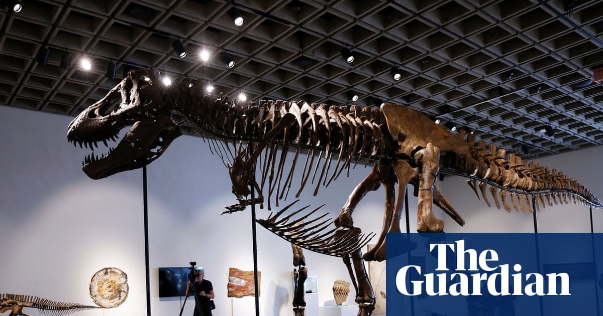 T rex fossil ‘Gus’ sells for $50.1m at New York auction, setting new record