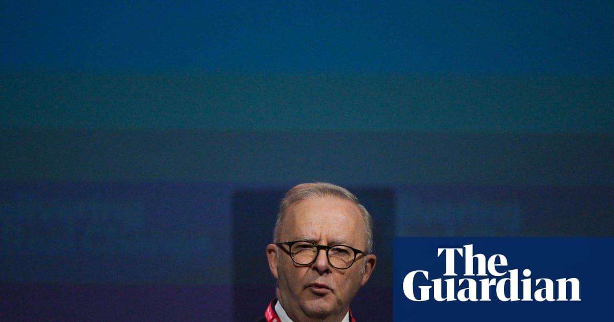 Labor under pressure to allow telehealth access for euthanasia but PM says ‘it should be face-to-face’