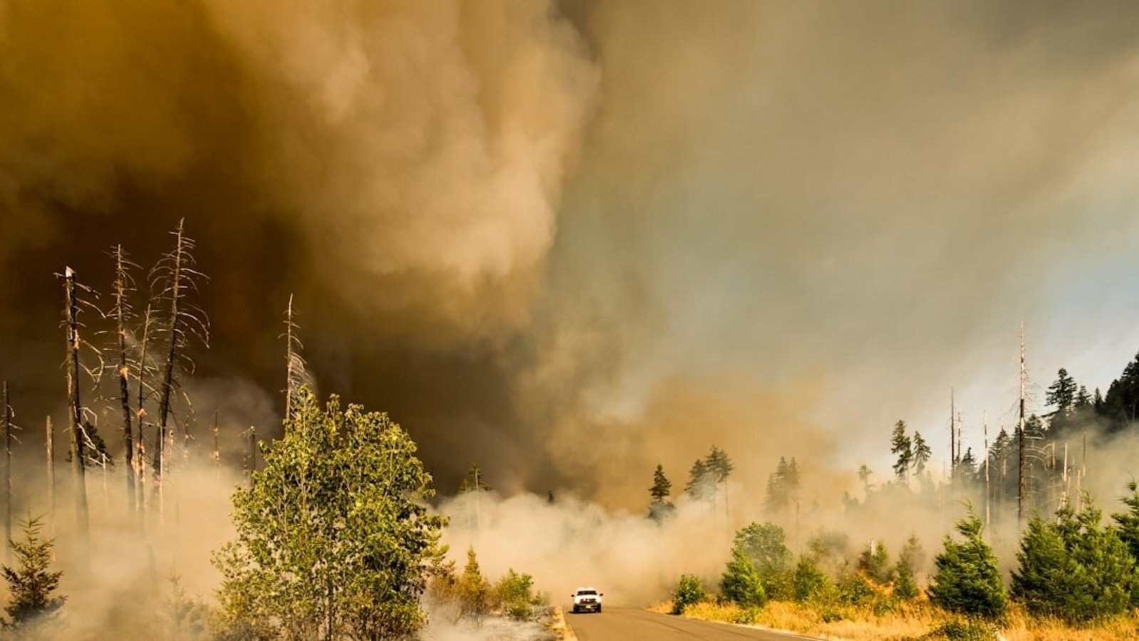 Spokane Valley Springs Fire: Evacuation map, latest updates as crews battle rapidly spreading blaze