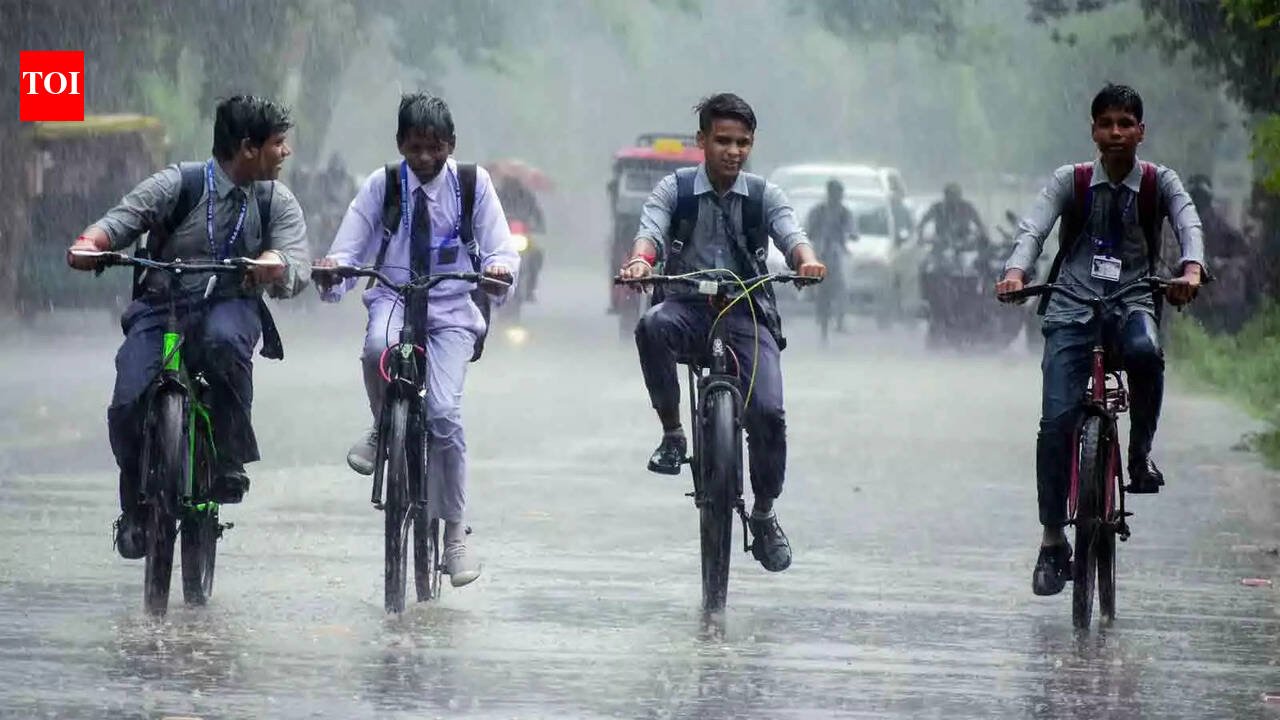 Odisha rains: Schools shut in four districts as IMD issues red alert