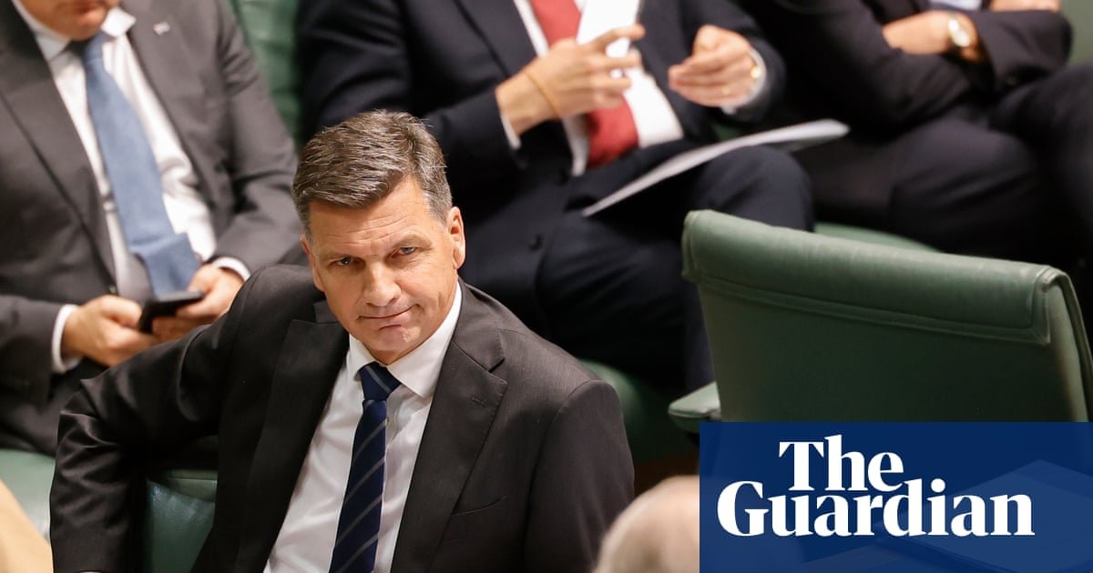 Guardian Essential poll: Angus Taylor’s approval rating crashes and One Nation support plateaus