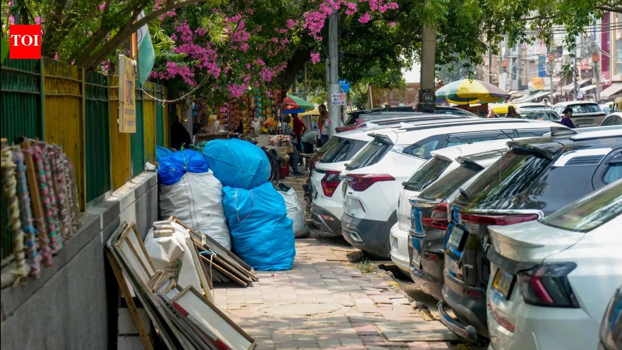 The right to walk: After Supreme Court judgement, who will reclaim our footpaths?