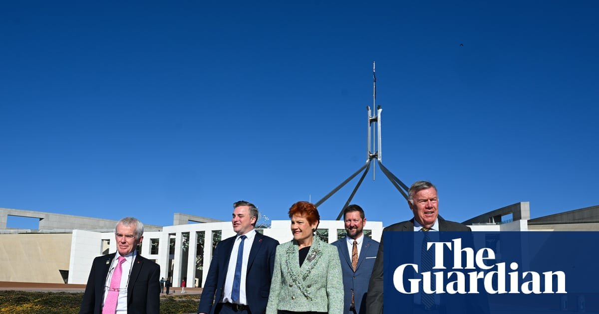 Guardian Essential poll: voters reject key One Nation policies as support slips