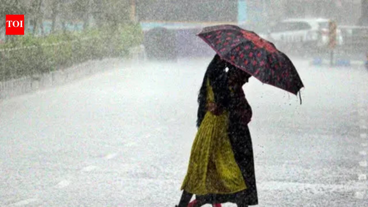 Odisha schools closed in multiple districts as heavy rain continues, IMD issues orange alert