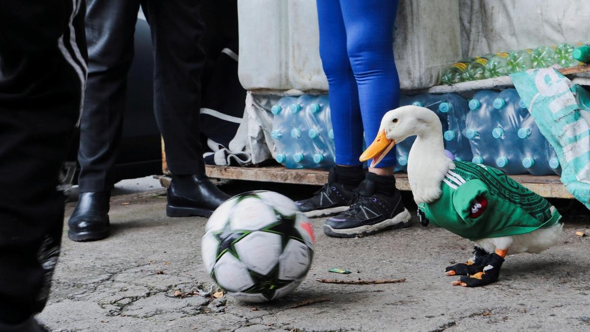 Look who’s at the FIFA World Cup party!