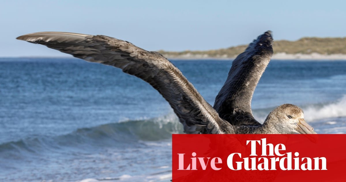 Australia news live: minister says it’s safe to ‘keep buying eggs, keep buying chicken’ as east coast records first suspected bird flu case