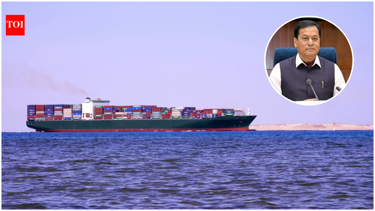 'Every possible measure must be taken': Shipping minister Sarbananda Sonowal says no Indian seafarer should be caught in crossfire