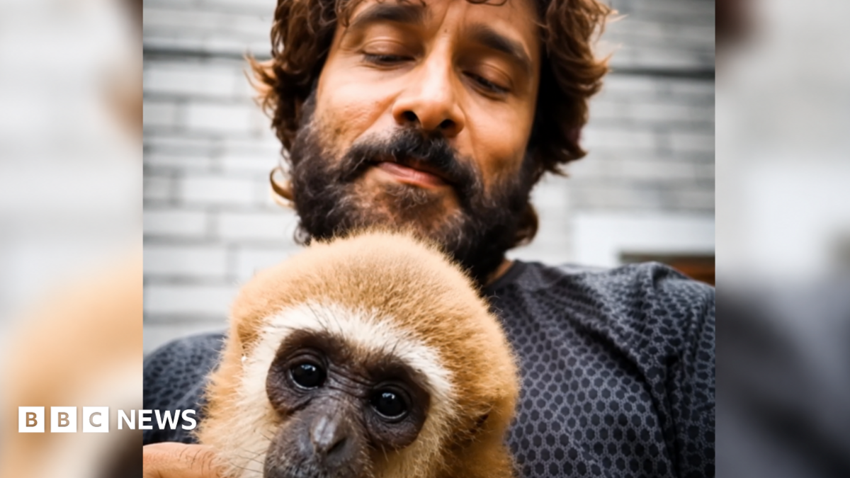 Indian actor's video with endangered gibbon sparks investigation
