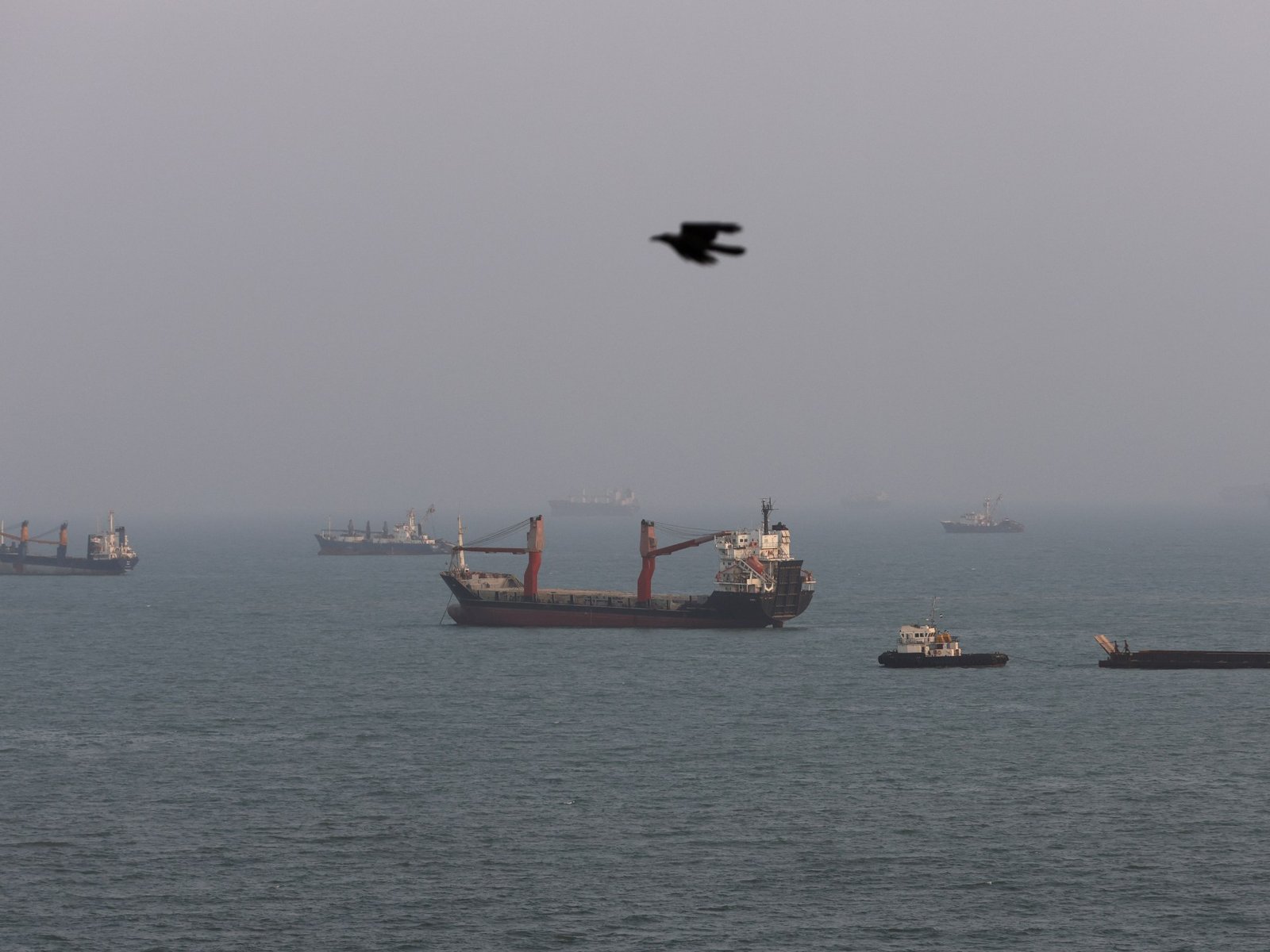 UAE accuses Iran of attacks on two ADNOC vessels in Strait of Hormuz