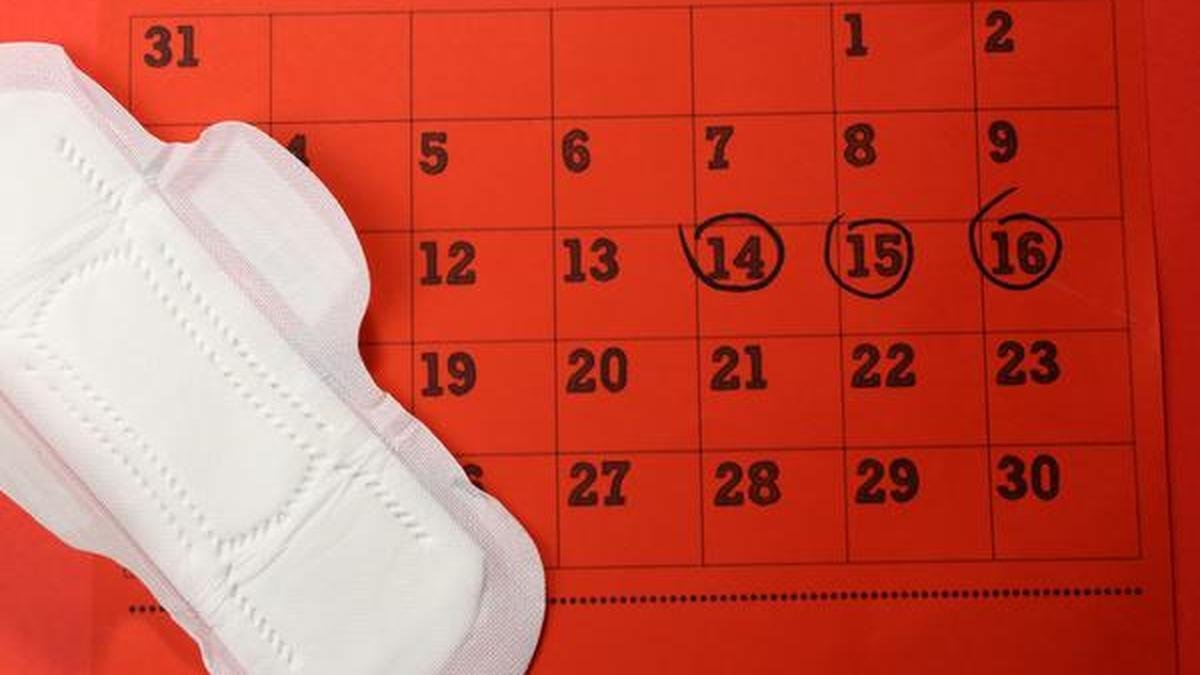 Where do Indian States stand on menstrual leave policies? | Explained