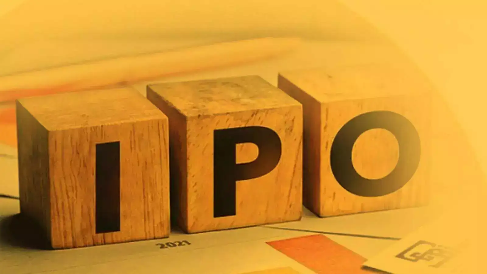 Skyways Air Services IPO gets marquee backing, Citi, Nomura join Rs 174 crore anchor book