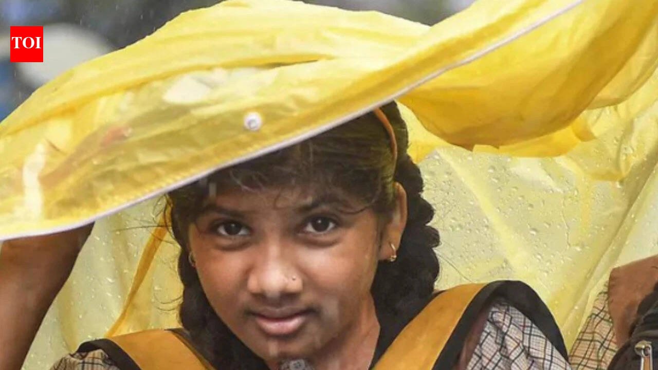 School holiday August 24: Are schools closed today due to heavy rain? Check state-wise updates