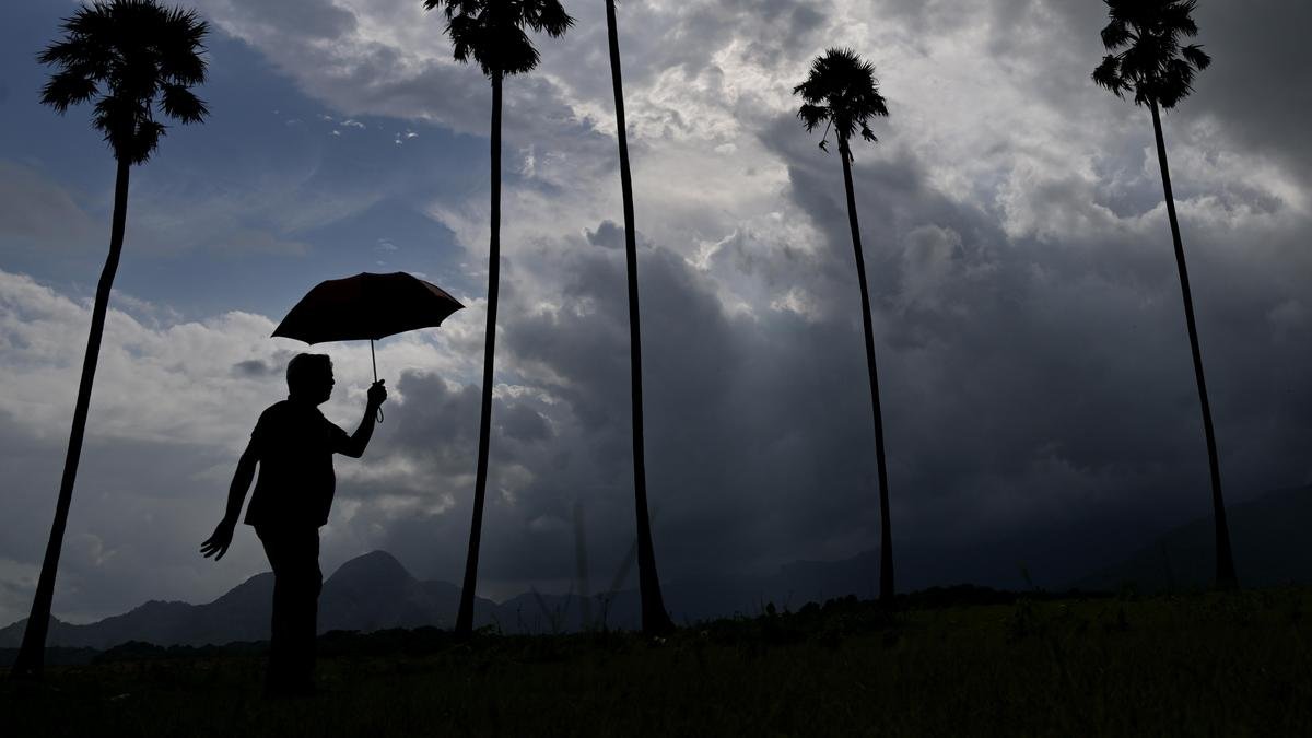 Kerala heavy rains LIVE: Revenue Minister calls meeting for rescue operations