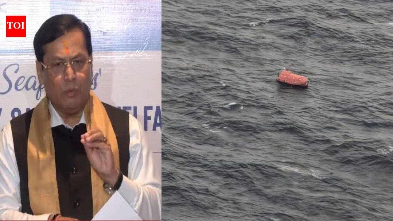 Panama-flagged ship sinks off Odisha, 2 rescued; search on for 22: Shipping minister