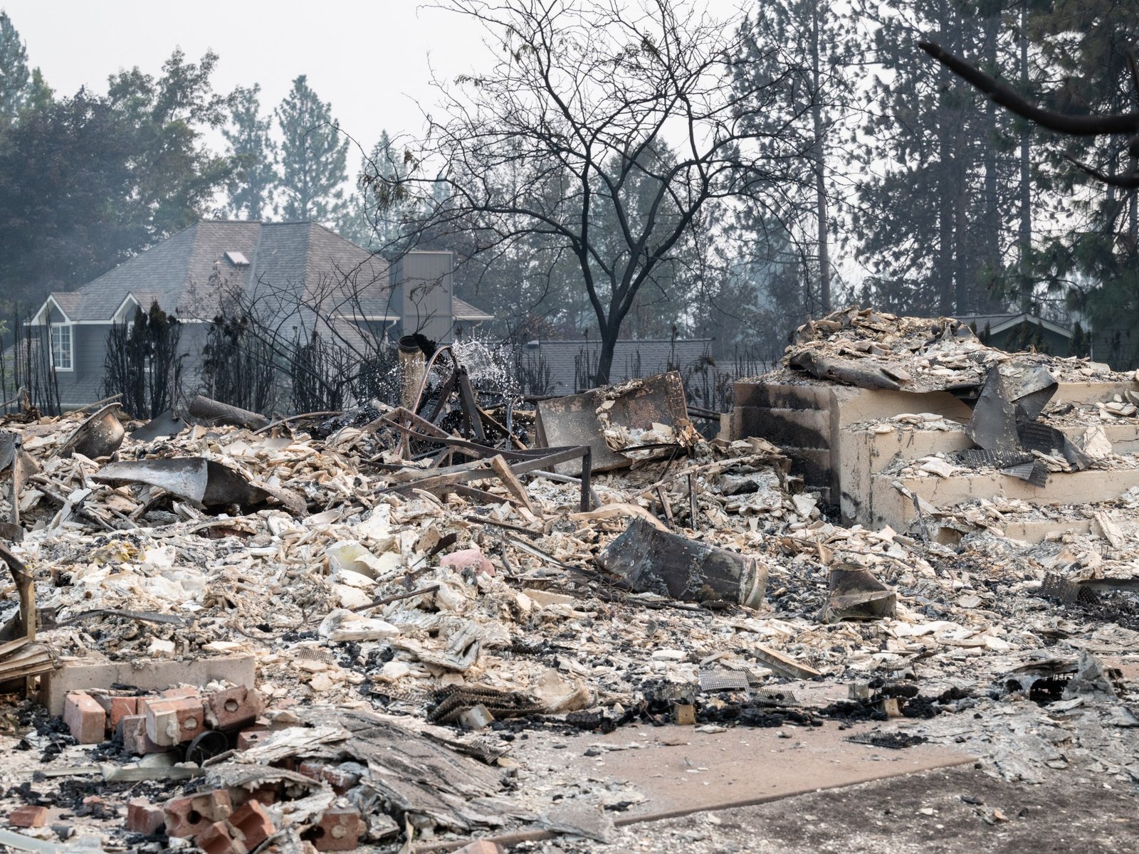 US arrests suspect over Spokane wildfire as tens of thousands flee blaze
