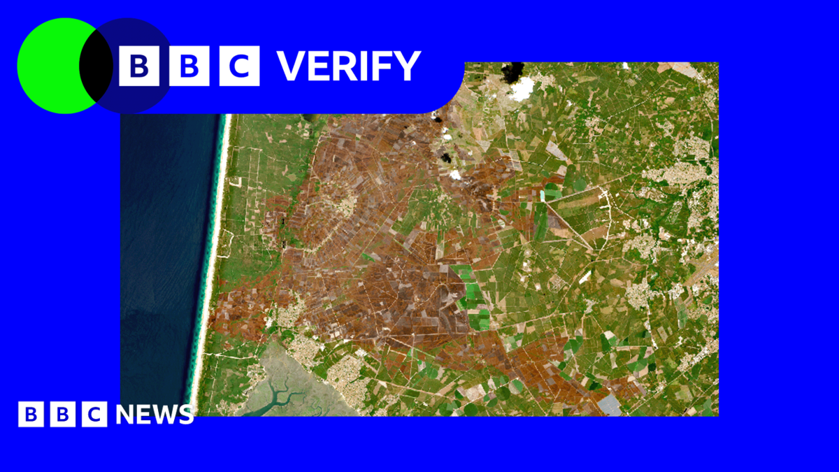 Europe's scorched landscapes seen from space after summer heatwaves
