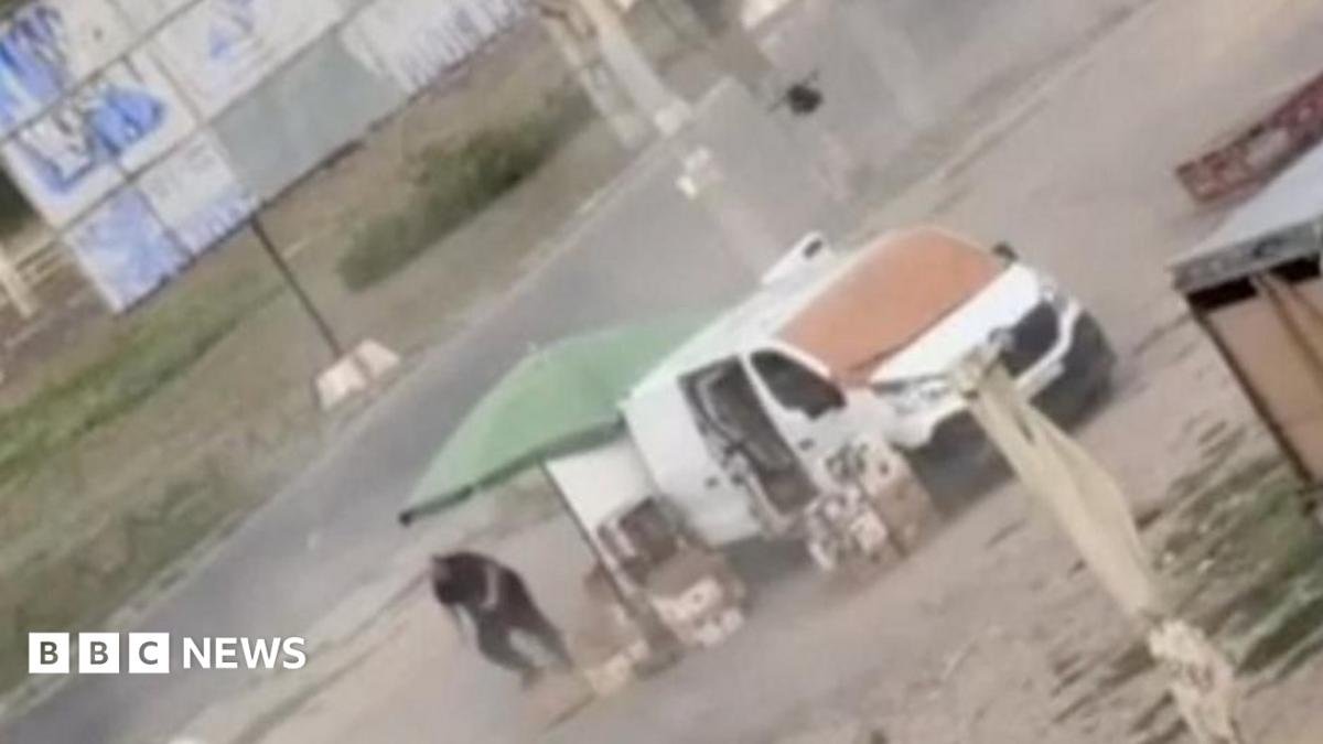 Video shows Russian drone chasing Ukrainian street vendor in 'human safari' attack