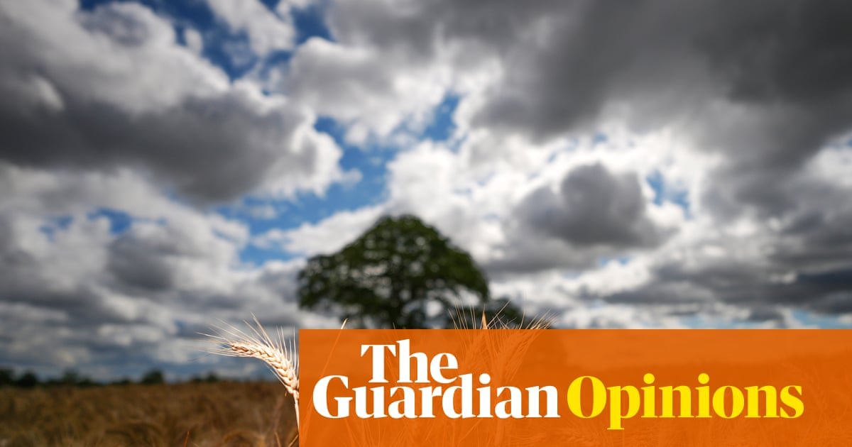 Reform says we need to choose between climate and economy. It's wrong | Larry Elliott