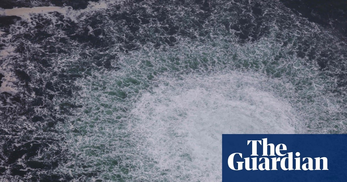 Ukrainian diver arrested in Croatia over Nord Stream pipeline bombings