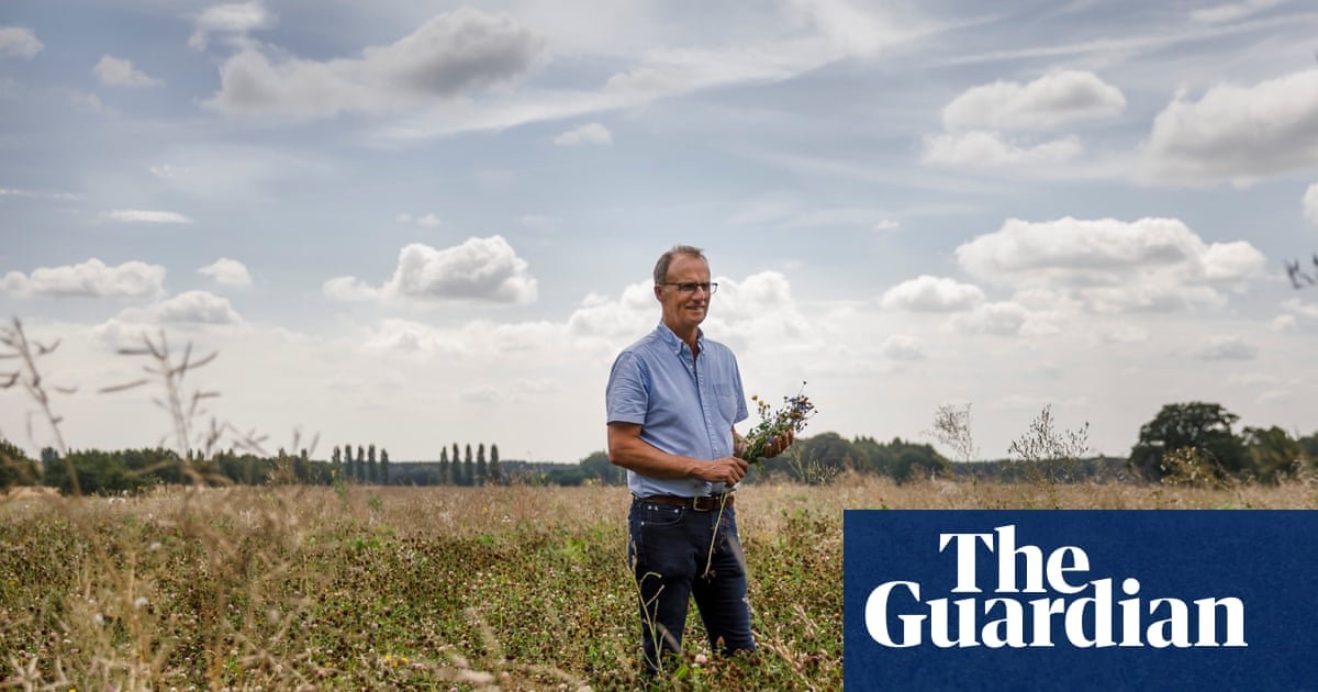 ‘Worst we’ve known’: UK turns to imports as drought and heat hit vegetable crops