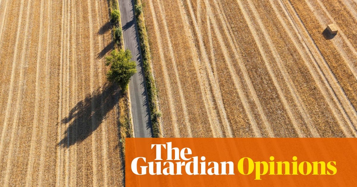 Britain's scorched fields mean a food crisis – and the government is ignoring the one measure that would help | George Monbiot