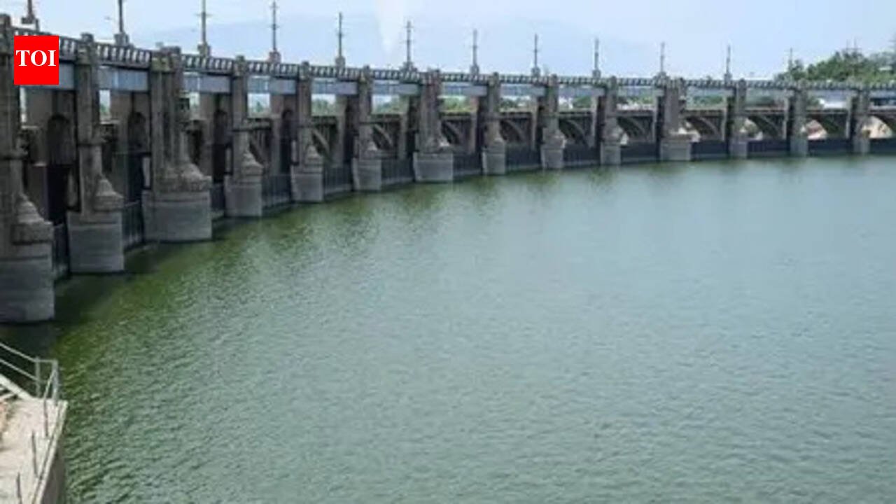Cauvery bandh in Karnataka: Schools to remain open as KAMS withdraws closure call, suggests black ribbons