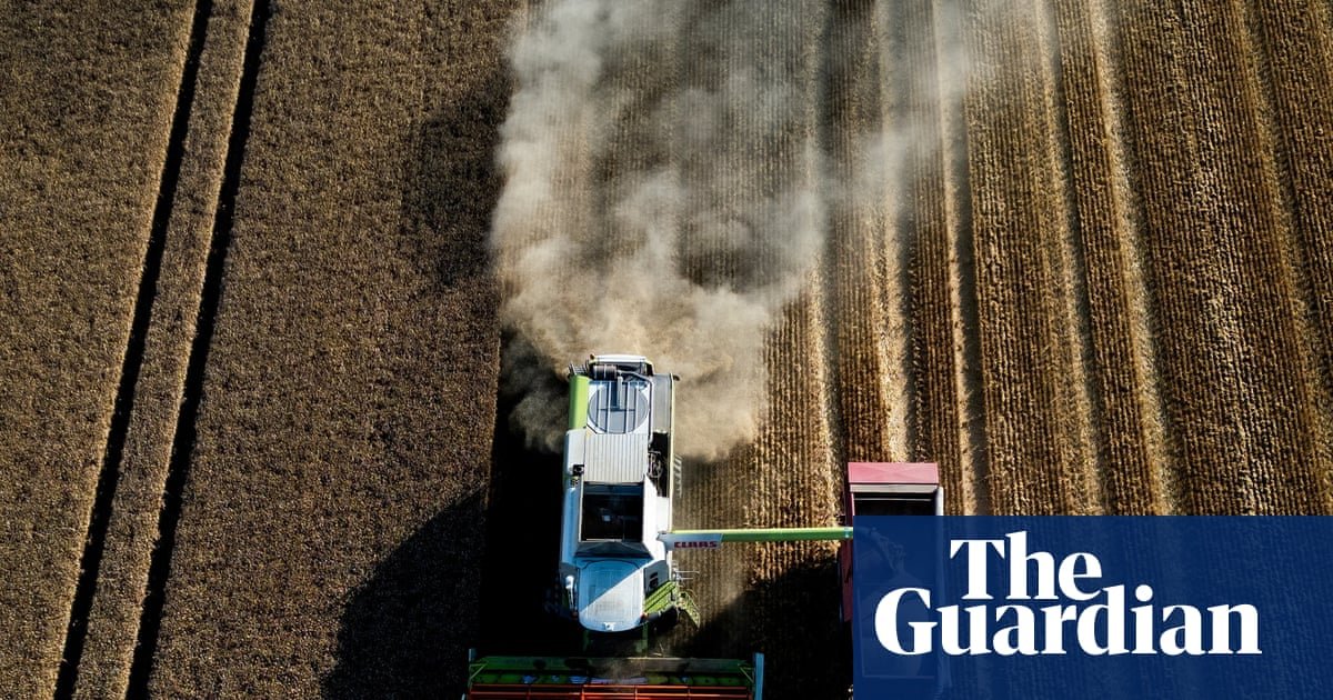 Global food prices at three-year high as heatwaves and wars push up crop costs