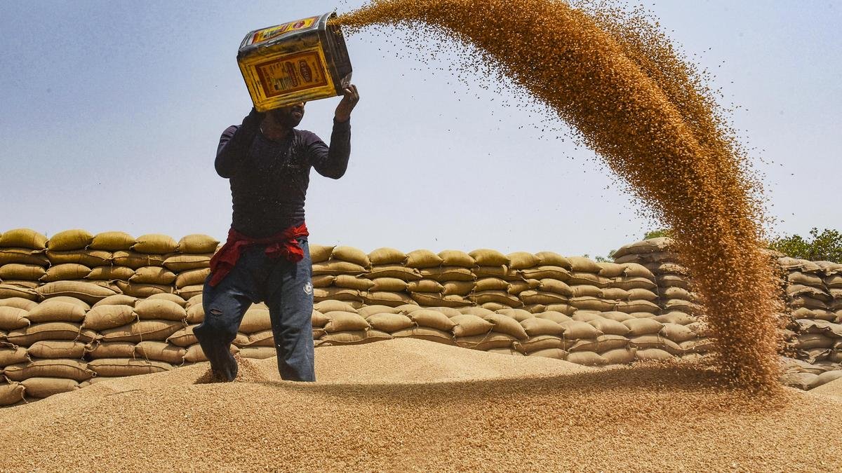 Government lifts ban on wheat exports, cites farmers’ interests amid depressed local prices