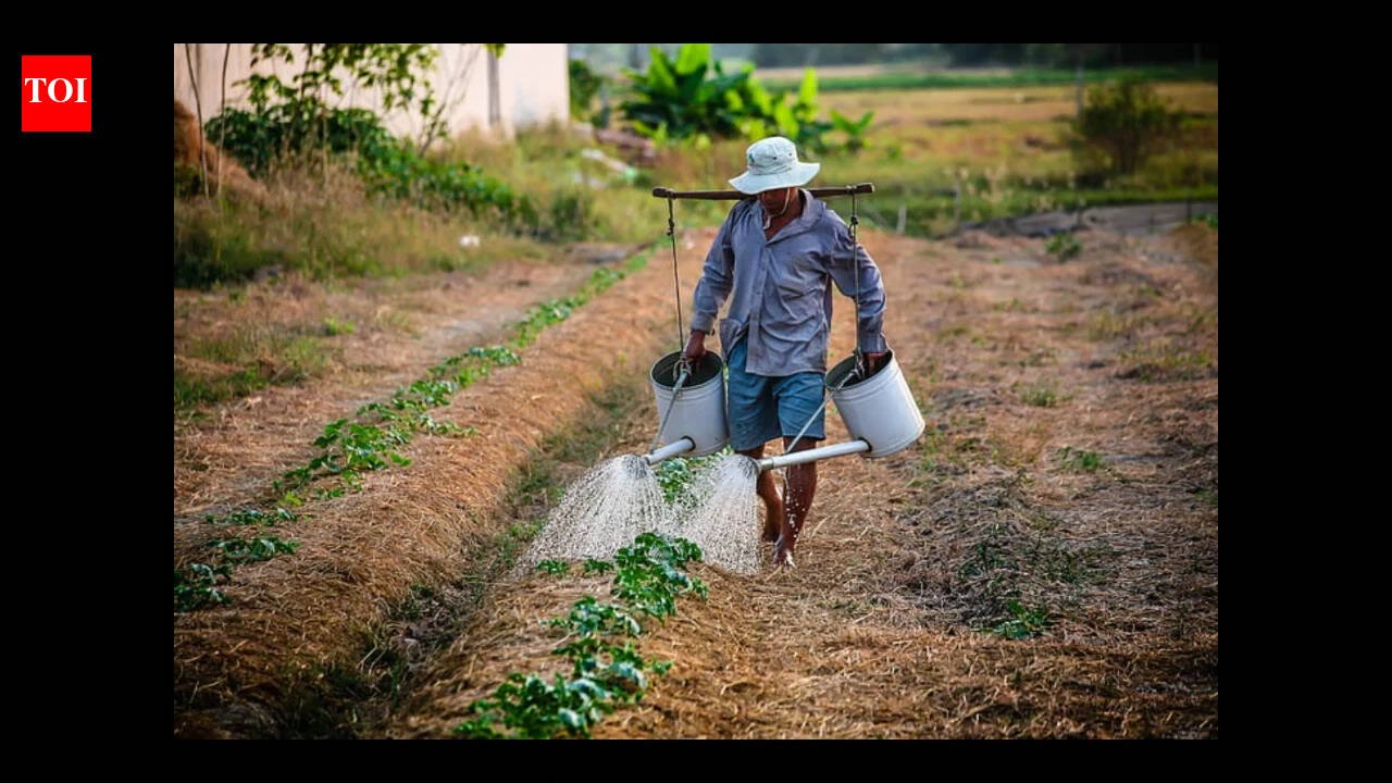UPSC topic: India's agricultural calendar divided by kharif, rabi and zaid seasons