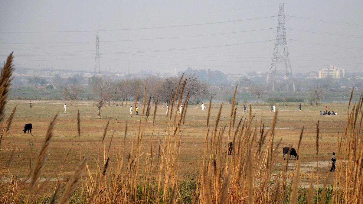 Yamuna floodplains: Supreme Court sets aside NGT order against Art of Living; directs DDA to refund ₹5 crore