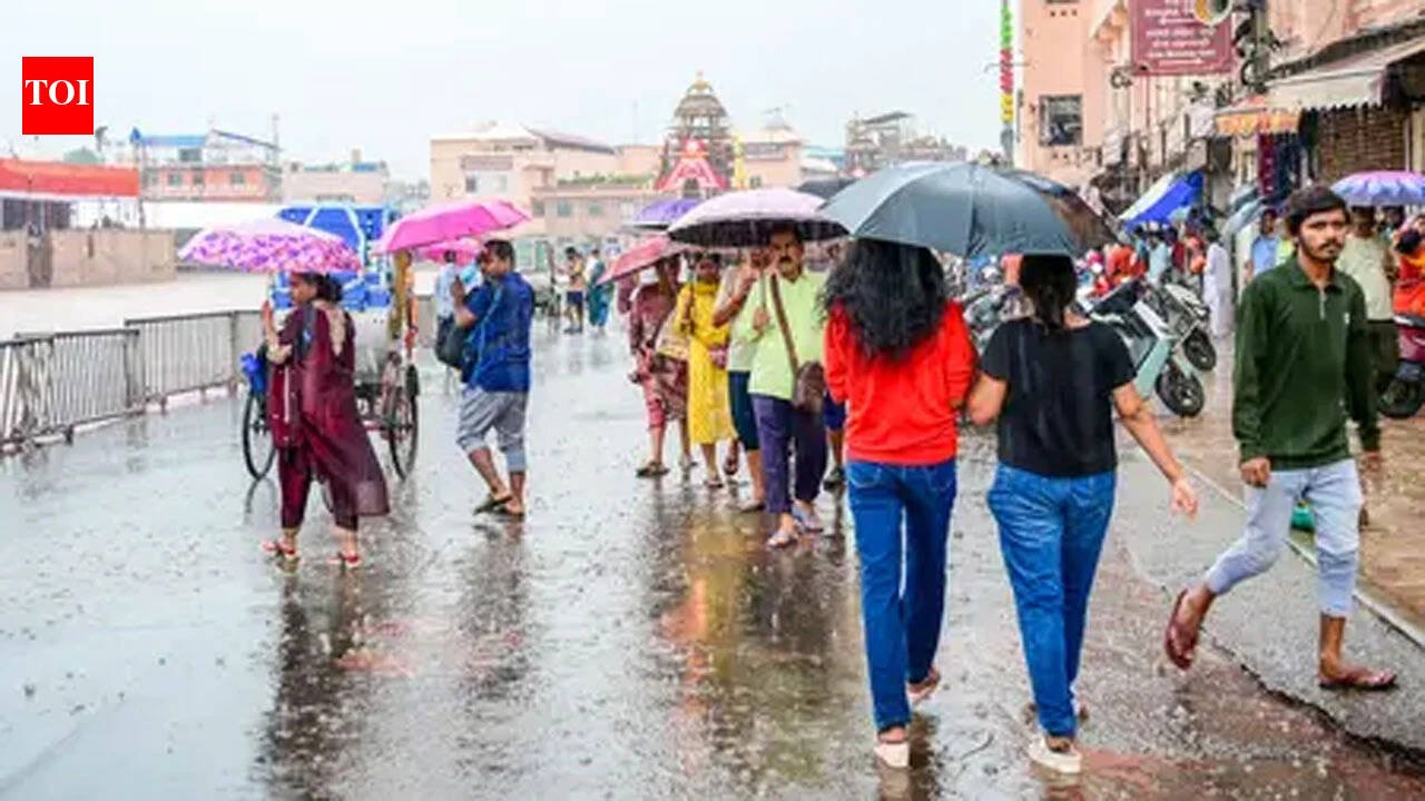 Uttarakhand schools closed September 1? Check district-wise holiday status amid heavy rain forecast