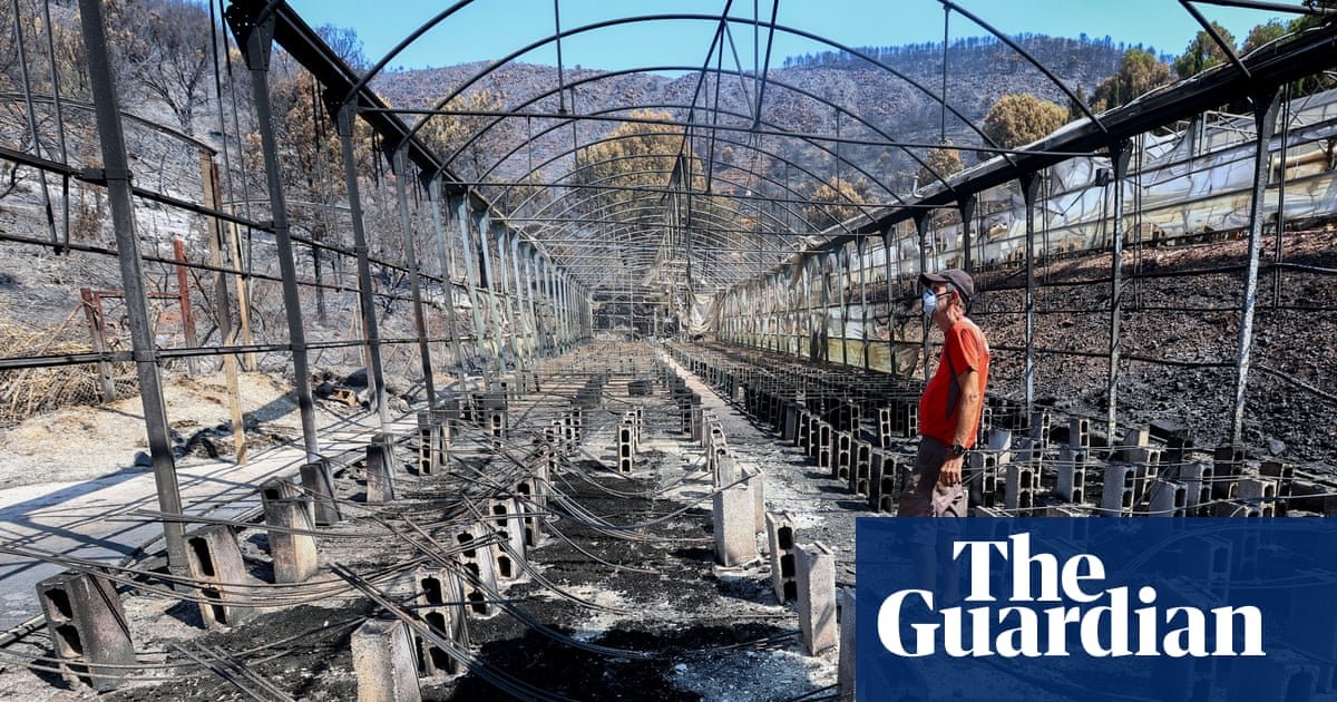 ECB official warns climate crisis poses growing threat to ‘core financial stability’