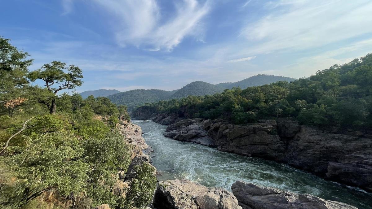 Tamil Nadu moves Supreme Court against Karnataka in Cauvery water row