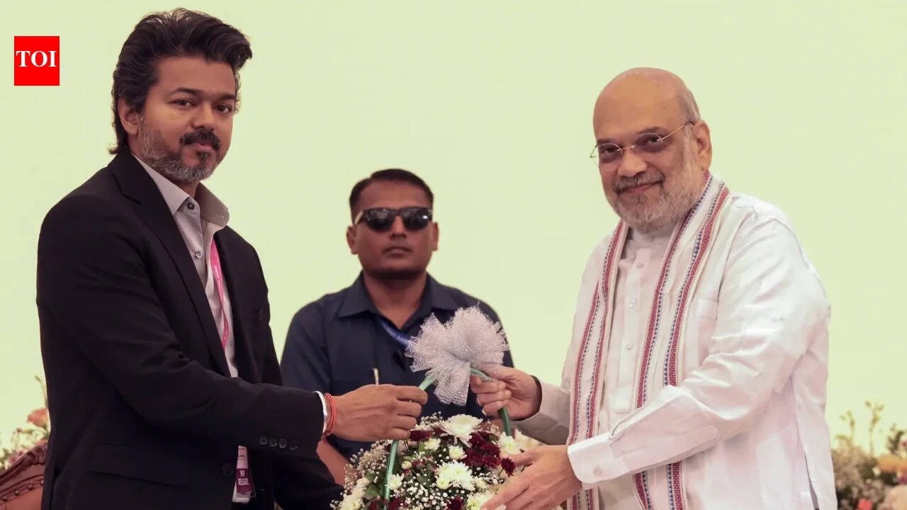 Delimitation, NEET and Cauvery: What Tamil Nadu CM Vijay discussed with Amit Shah