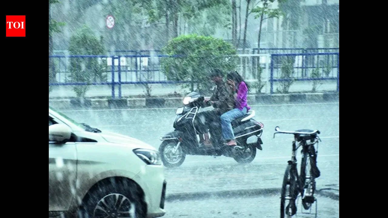 Gujarat schools hit by heavy rain can hold classes on holidays to complete syllabus, say officials
