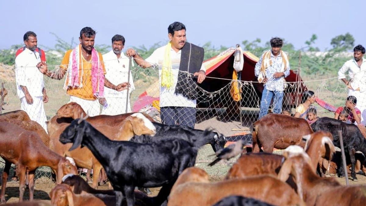 Chief Minister visiting North Karnataka after BJP announced Ballari padayatra: Vijayendra