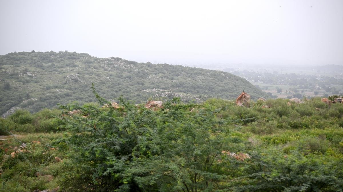 Supreme Court refuses extension for Aravalli panel, sets November 30 deadline for final report