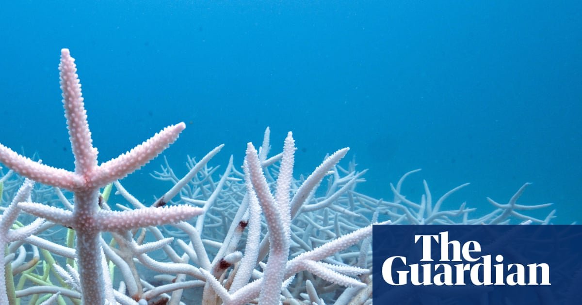 World’s oceans absorbed record heat equal to 40 times annual global energy use