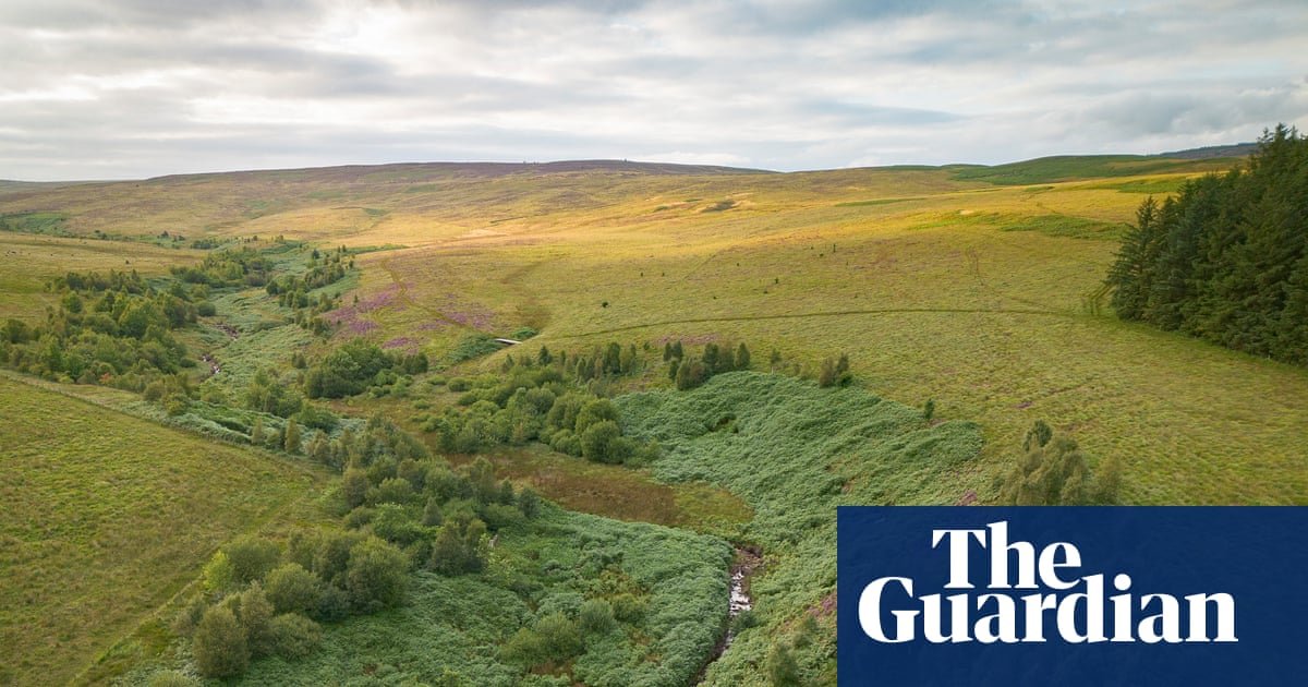 ‘Britain’s Yellowstone’: restoration project aims to take the greed out of land acquisition
