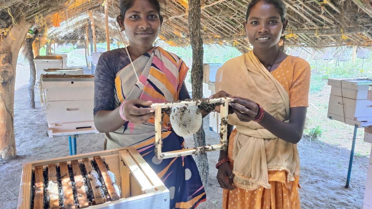 Sweetening livelihoods, one beehive at a time